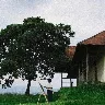 Örnek Resim