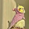 Örnek Resim