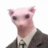 Örnek Resim
