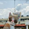 Örnek Resim