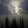 Örnek Resim
