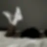 Örnek Resim