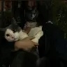 Örnek Resim