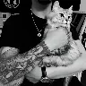 Örnek Resim
