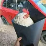 Örnek Resim