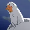 Örnek Resim