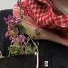 Örnek Resim
