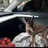 Örnek Resim