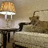 Örnek Resim