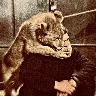 Örnek Resim