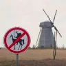 Örnek Resim