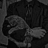 Örnek Resim