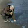 Örnek Resim