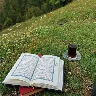 Örnek Resim
