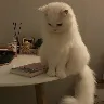Örnek Resim