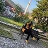 Örnek Resim