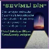 Örnek Resim