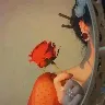 รrnek Resim