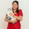 Örnek Resim