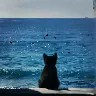 Örnek Resim
