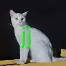Örnek Resim