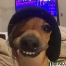 Örnek Resim