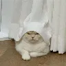 Örnek Resim