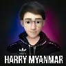 Örnek Resim