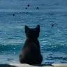 Örnek Resim