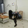 Örnek Resim