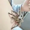 Örnek Resim