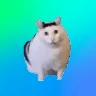 Örnek Resim