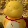 Örnek Resim