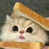 Örnek Resim