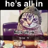 Örnek Resim