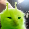 Örnek Resim