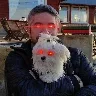 Örnek Resim