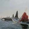 Örnek Resim