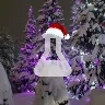 Örnek Resim