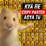 Örnek Resim