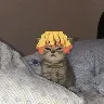 Örnek Resim