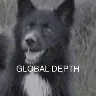 Örnek Resim