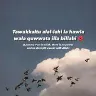 Örnek Resim