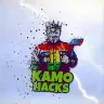 Örnek Resim