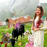 Örnek Resim