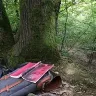 Örnek Resim