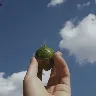 Örnek Resim