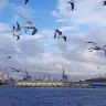 Örnek Resim