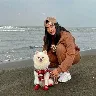 Örnek Resim