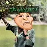 Örnek Resim